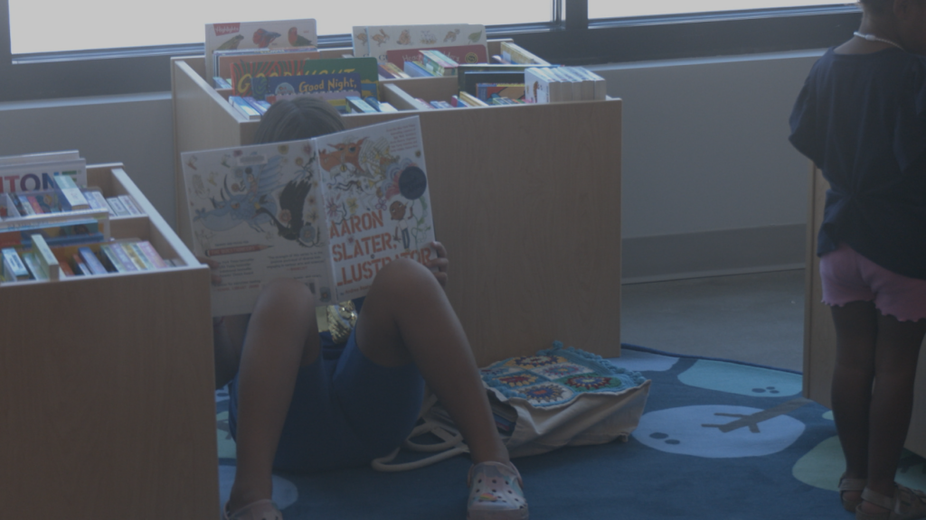 Northchase Library