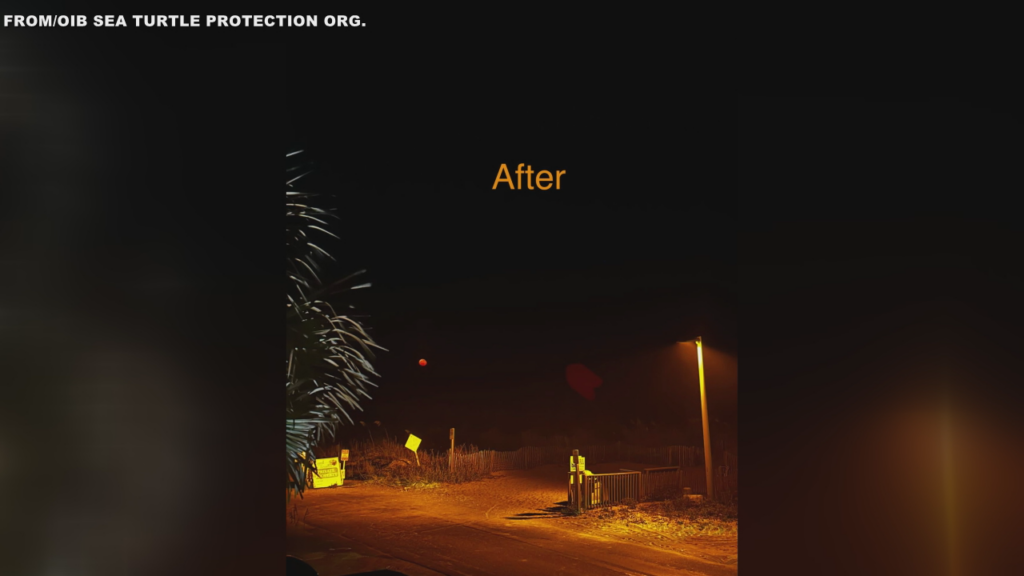 Turtle Streetlights
