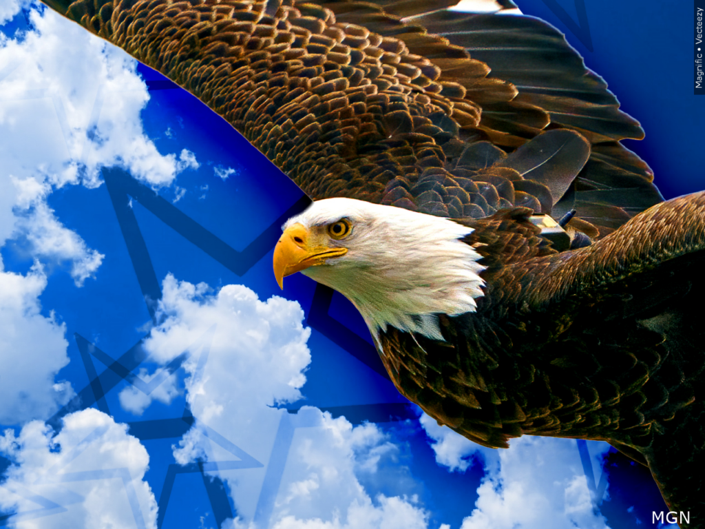 Mgn 1280x960 60618c00 Bqlkj