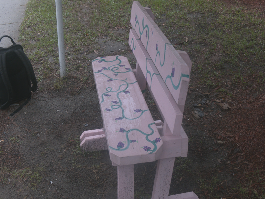 Bench made Wilmington Democratic Socialists of America on Market Street