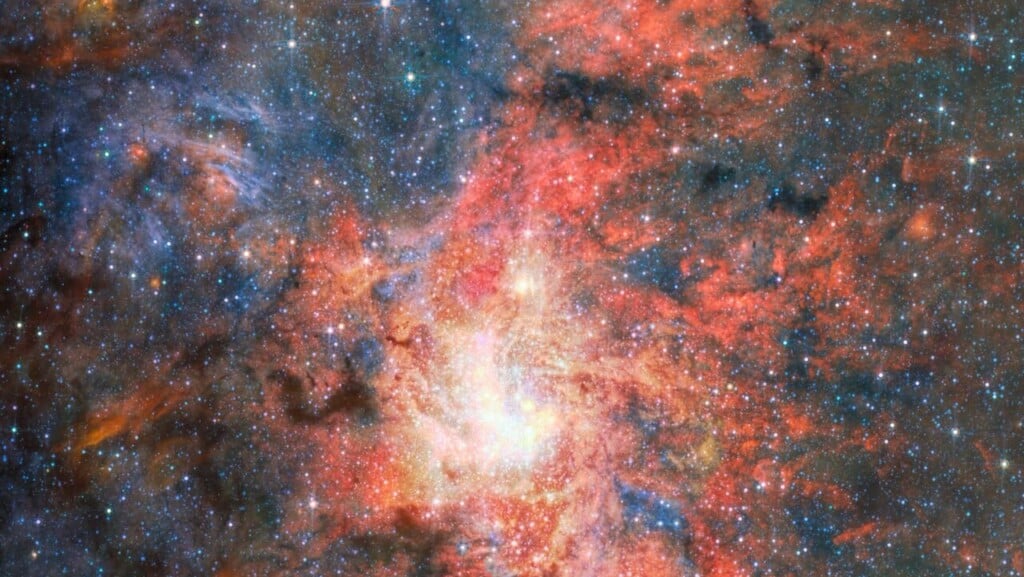 Stars