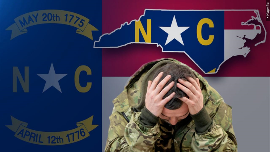 Mental Health Nc