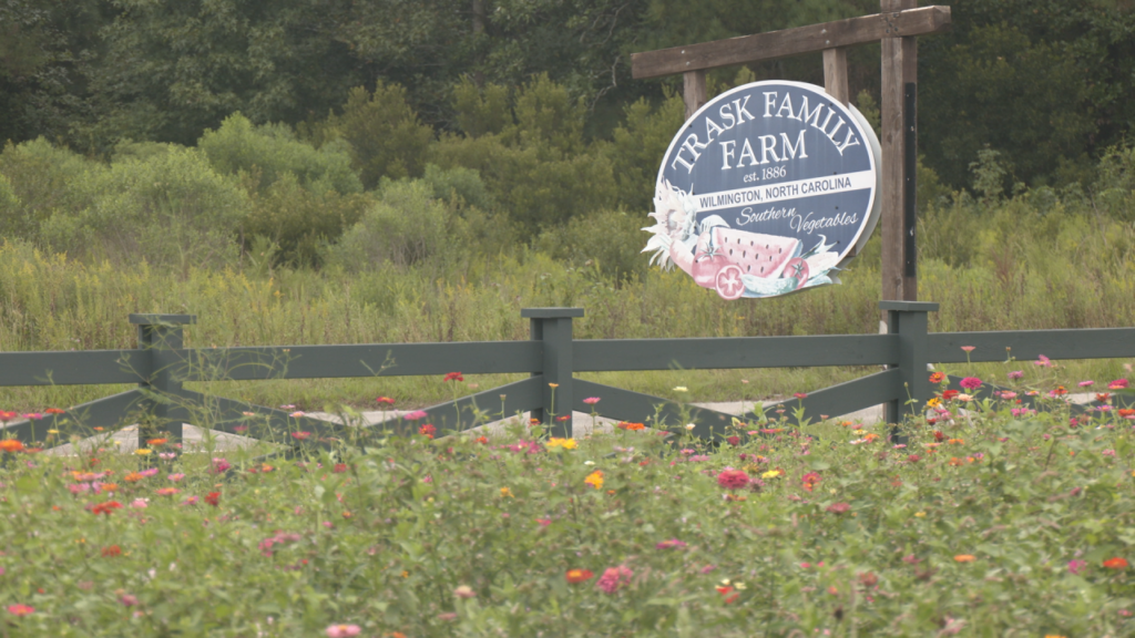 Trask Family Farm