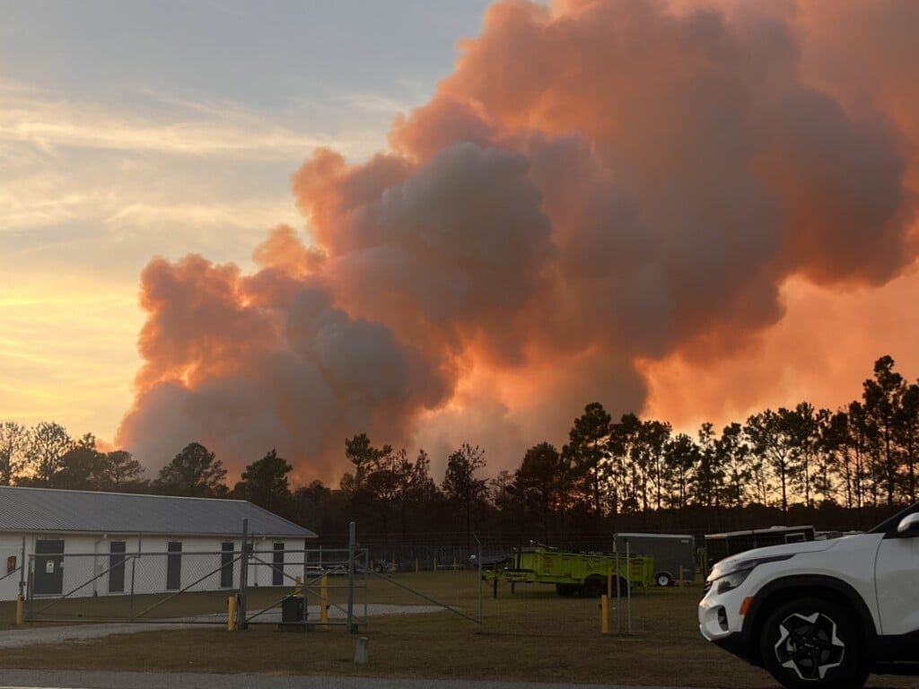 Brush Fire