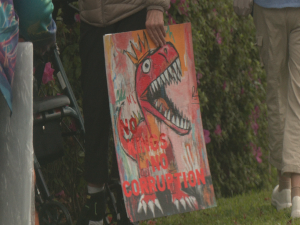 No Kings Rally protestor holding a sign