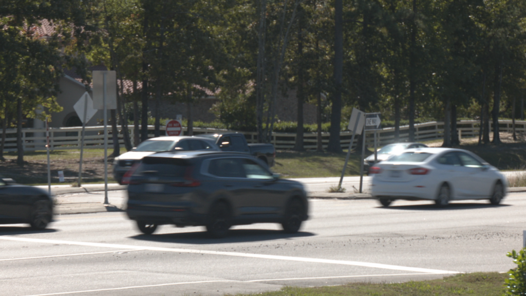 Brunswick Transit Summit