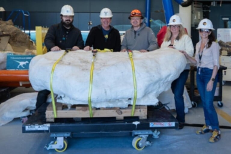Ostrich-like Fossil arrives at N.C. Museum