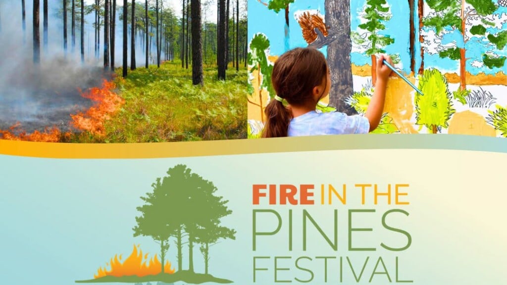 Pines
