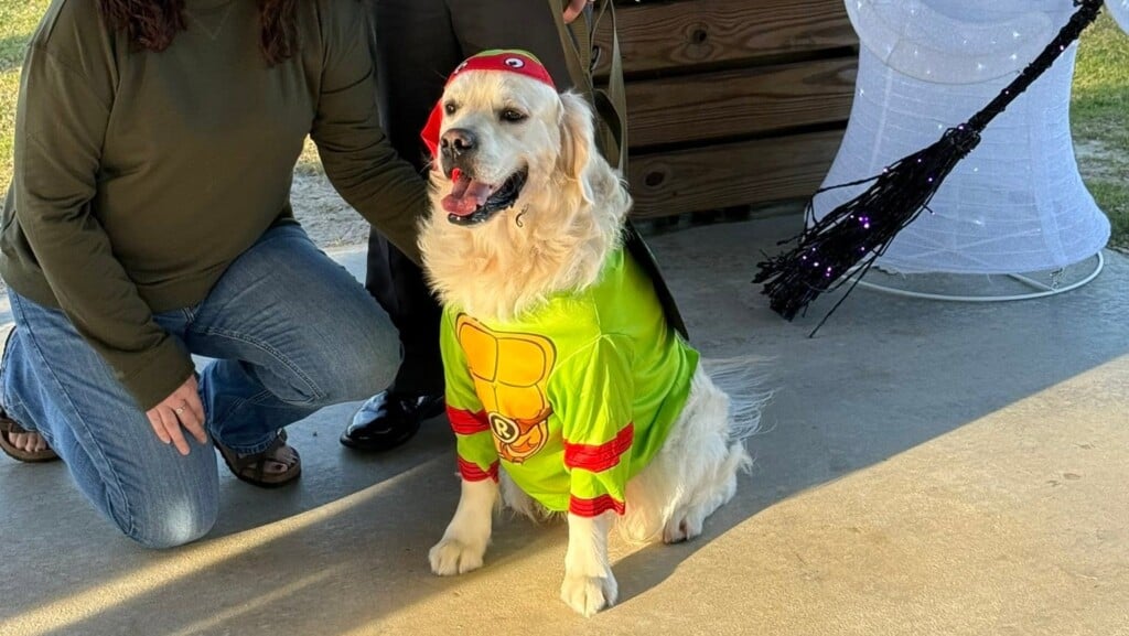 Barktober