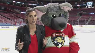 Hockey 101: What’s the link between the Florida Panthers and rats?