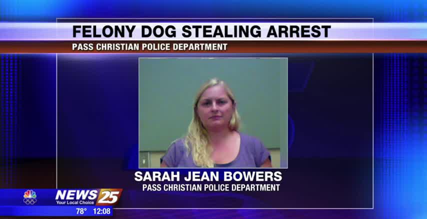 Felony dog stealing arrest - WXXV News 25