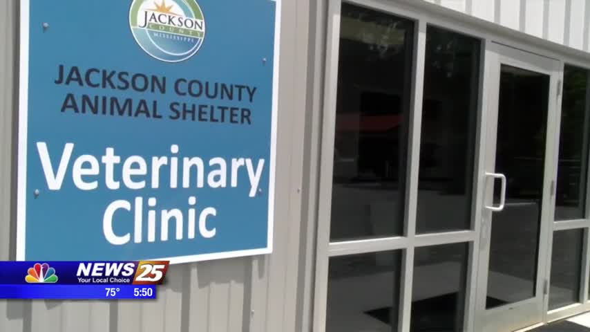 New vet clinic opens at Jackson County Animal Shelter - WXXV News 25