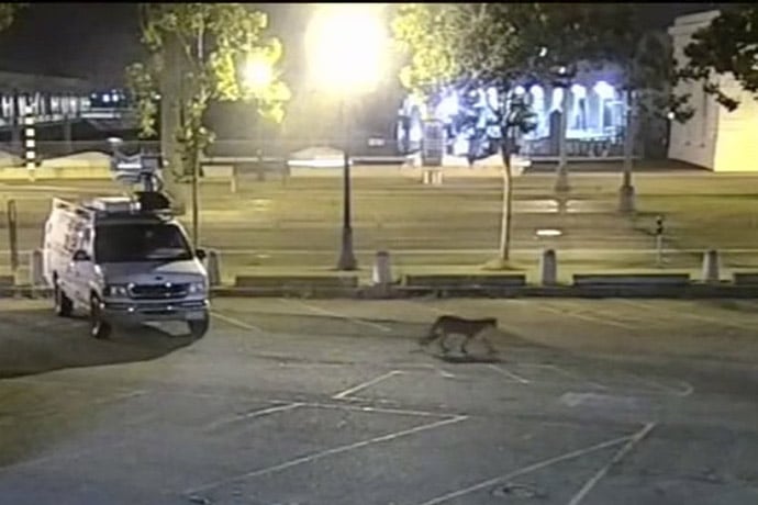 In this image from surveillance camera video provided by KGO-TV/ABC7
