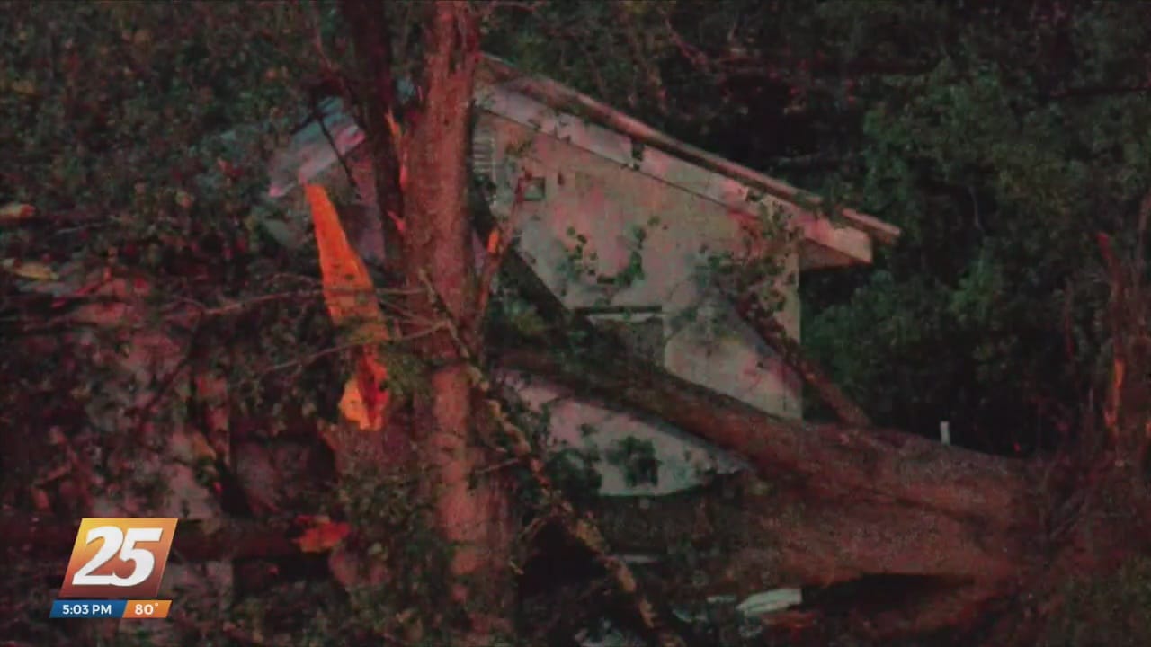 Severe storm damage across the state - WXXV News 25