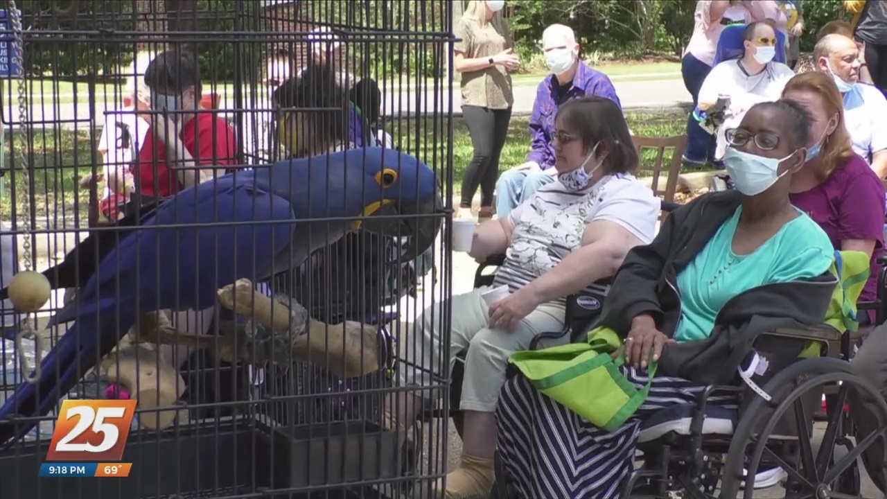 Bringing smiles to seniors at the Pillars of Biloxi WXXV News 25