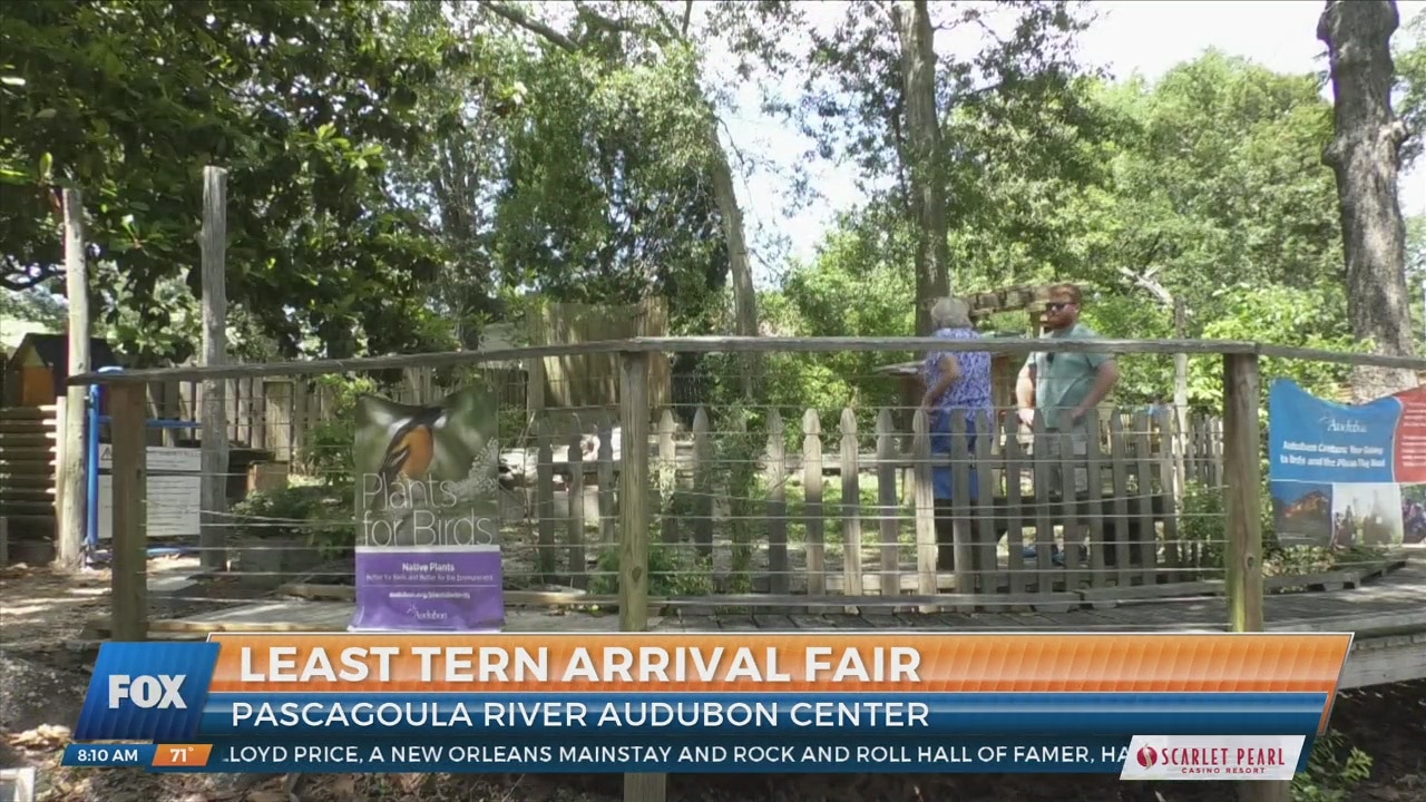 Pascagoula River Audubon Center hosted Arrival of the Least Terns fair