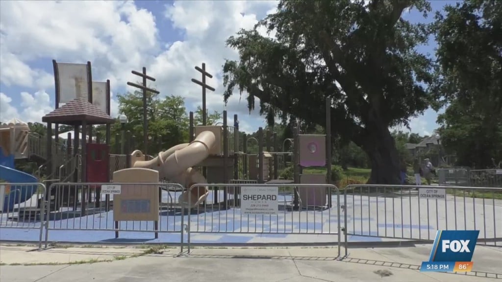 200 Year Old Oak Tree In Ocean Springs Causing Issues
