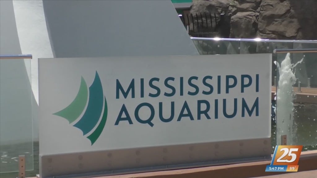 All Aboard Mississippi Aquarium’s Eco Tours