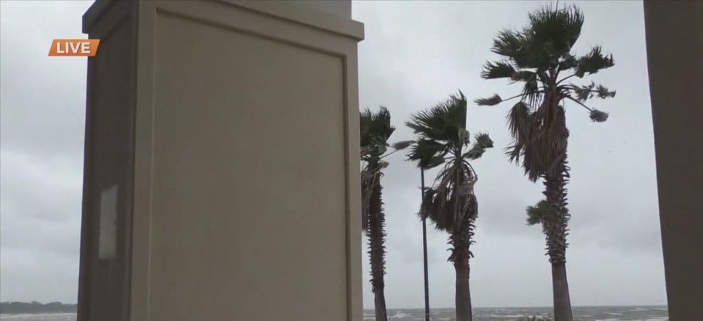 Conditions At Jones Park Ahead Of Tropical System