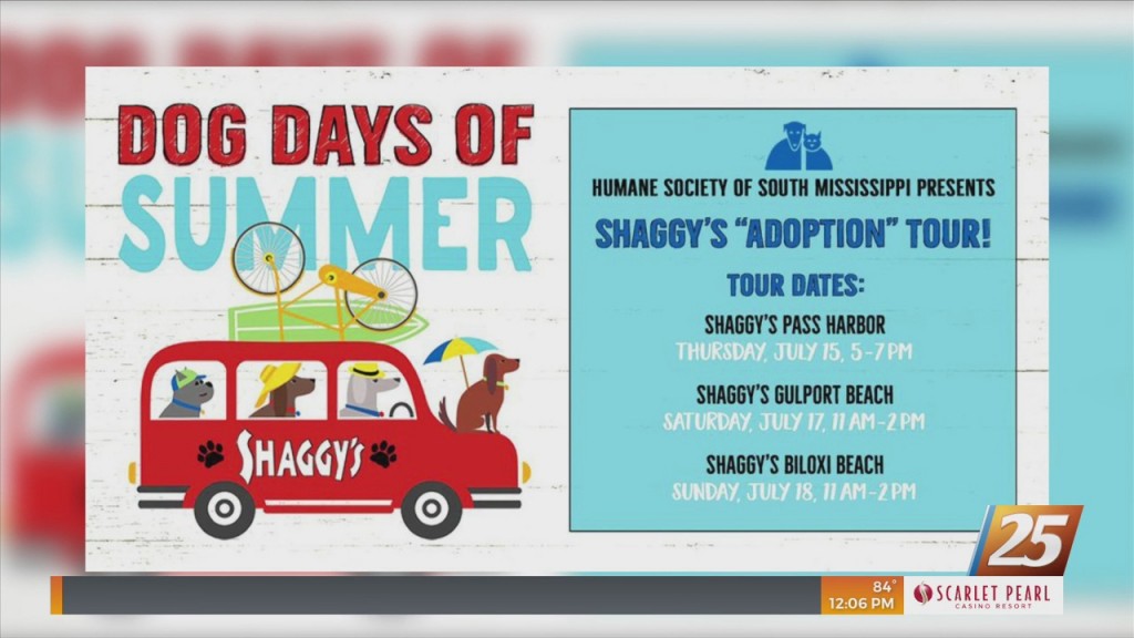 Hssm Dog Days Of Summer Shaggy’s Adoption Tour