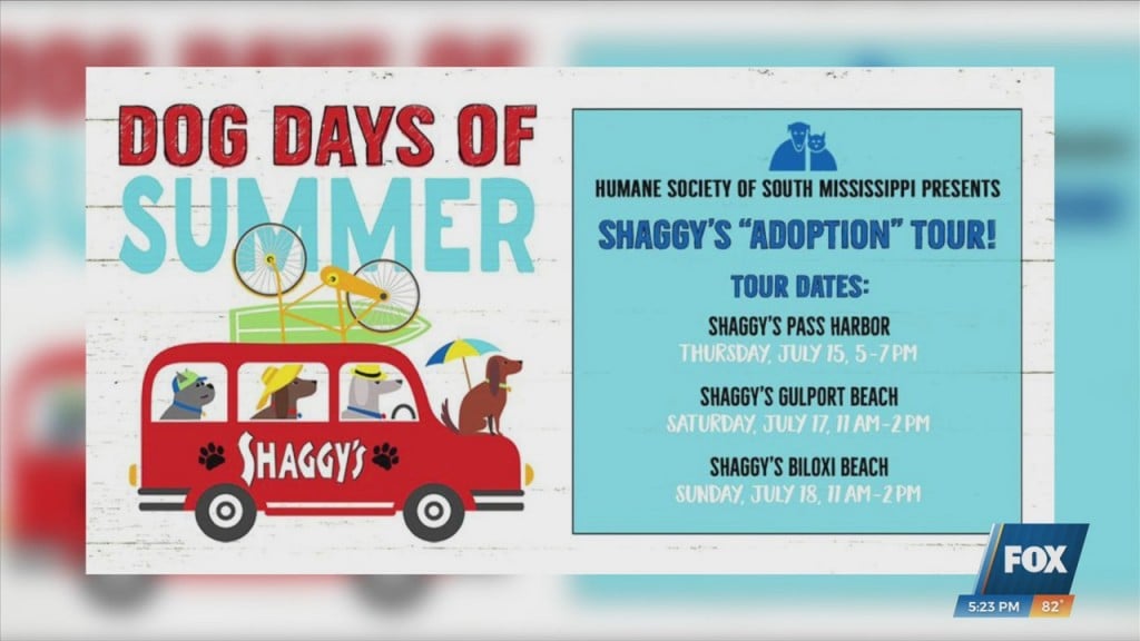 Hssm Hosting Dog Days Of Summer Shaggy’s Adoption Tour