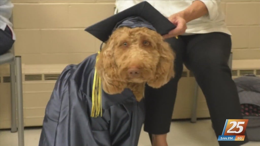 Visiting Pet Teams Of South Mississippi Holding Therapy Dog Graduation