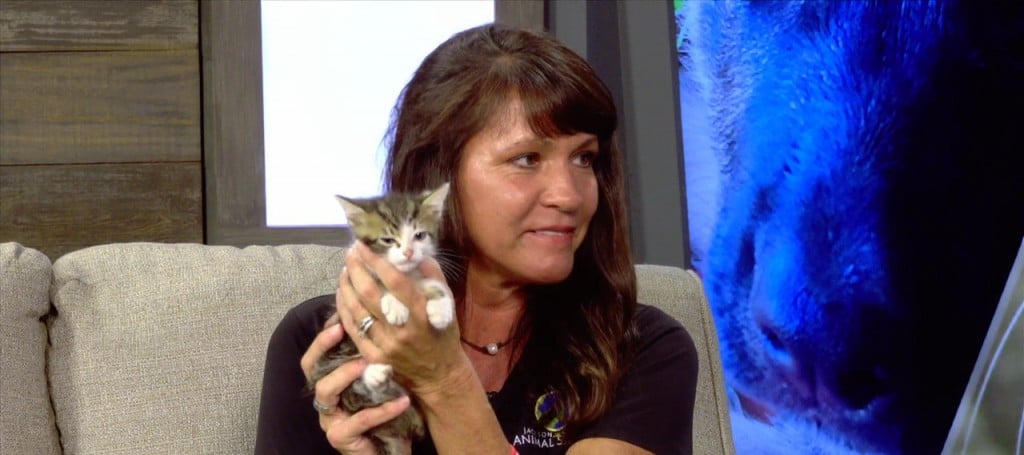 Pet Of The Week