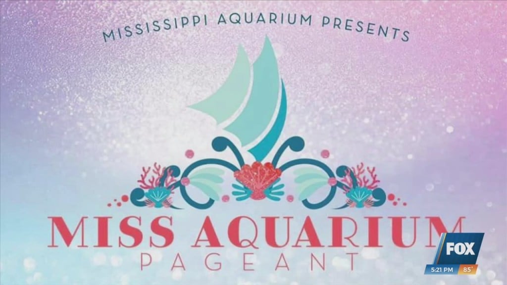 Deadline To Register For Miss Aquarium Pageant Is Friday 