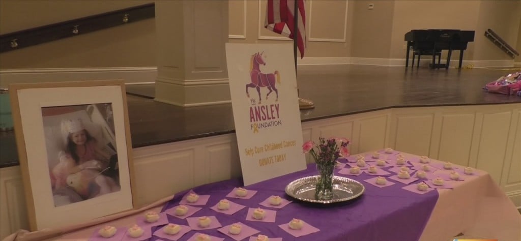 Red Cross Partners With Ansley Foundation To Hold Blood Drive