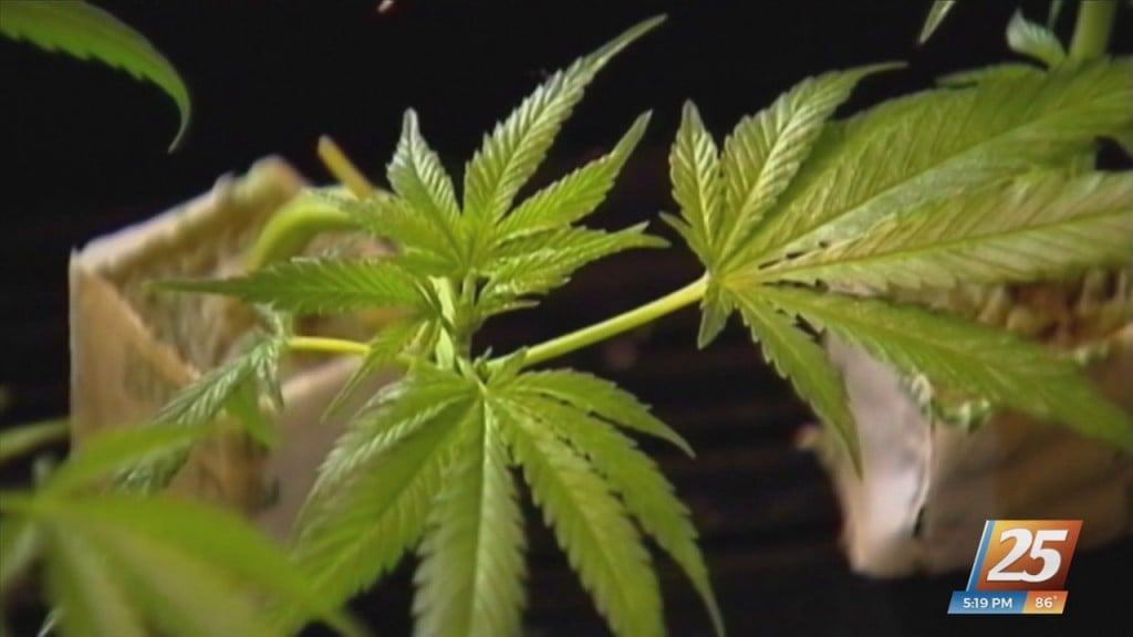 Citizens Alliance Of Mississippi Calls For Legislators To Sign A Medical Marijuana Pledge