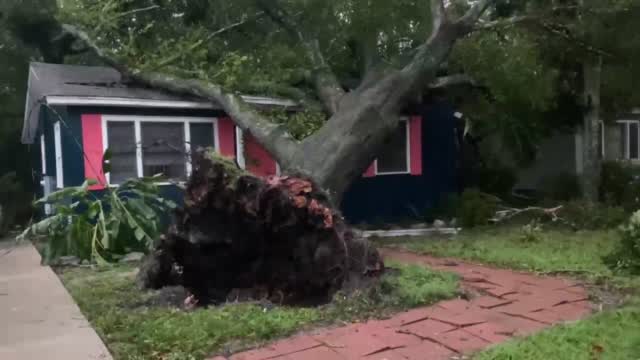 Possible Tornado Damage 1