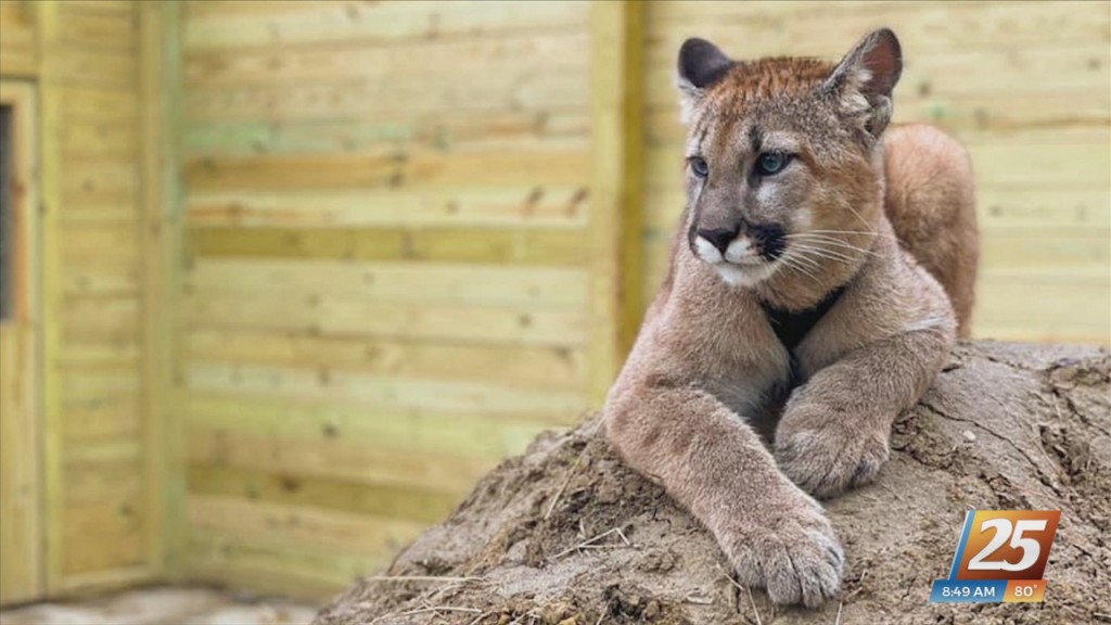 Wild Acres Hands On Animal Experience