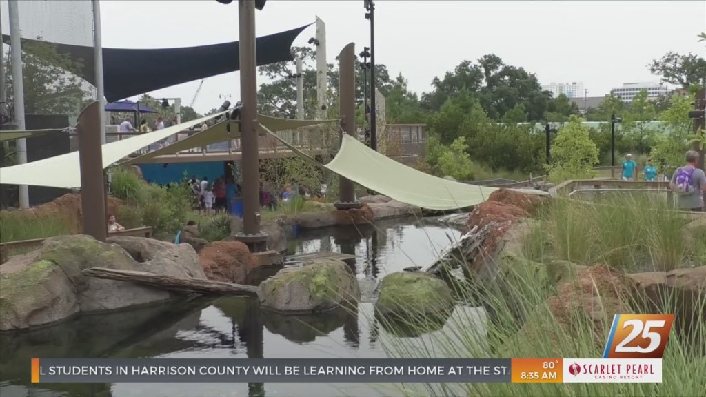 New Mystery Residents At The Mississippi Aquarium