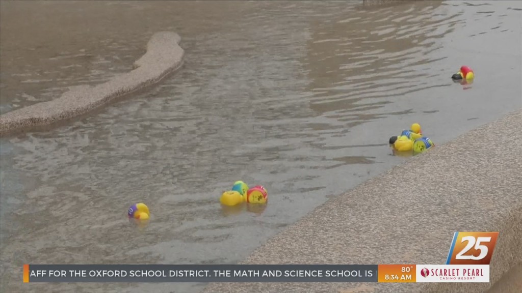 Rubber Duck Race At The Mississippi Aquarium