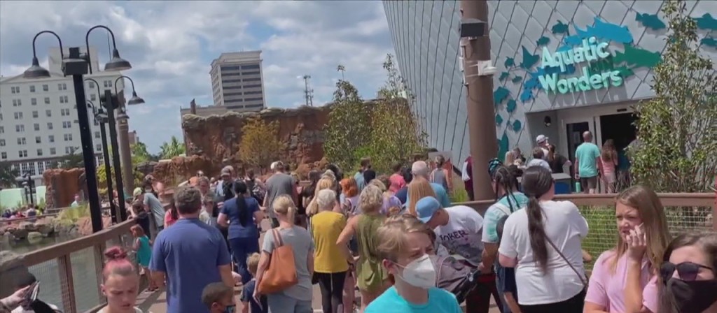 Mississippi Aquarium Reopens After Hurricane Ida