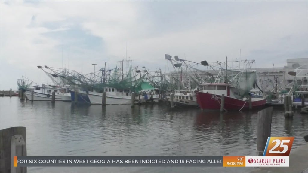 Mdmr Announces No Seafood Transportation Fees For Louisiana Fishermen