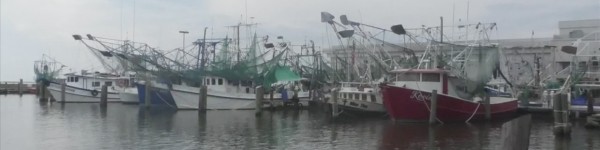 Mdmr Announces No Seafood Transportation Fees For Louisiana Fishermen