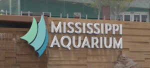 Mississippi Aquarium Hosting ‘sea Of Stars’ Event To Kick Off Cruisin’ The Coast