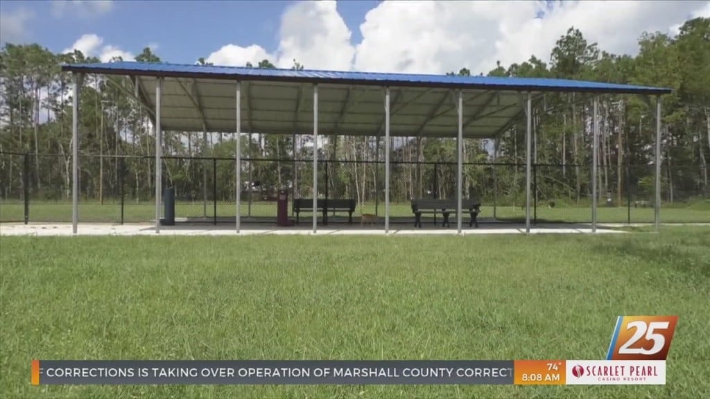 F.e.t.c.h Dog Park In Long Beach Finished Phase Two Of Construction