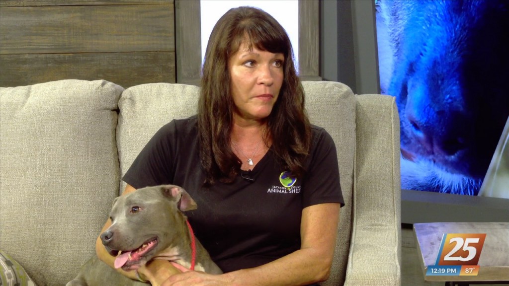 Pet Of The Week