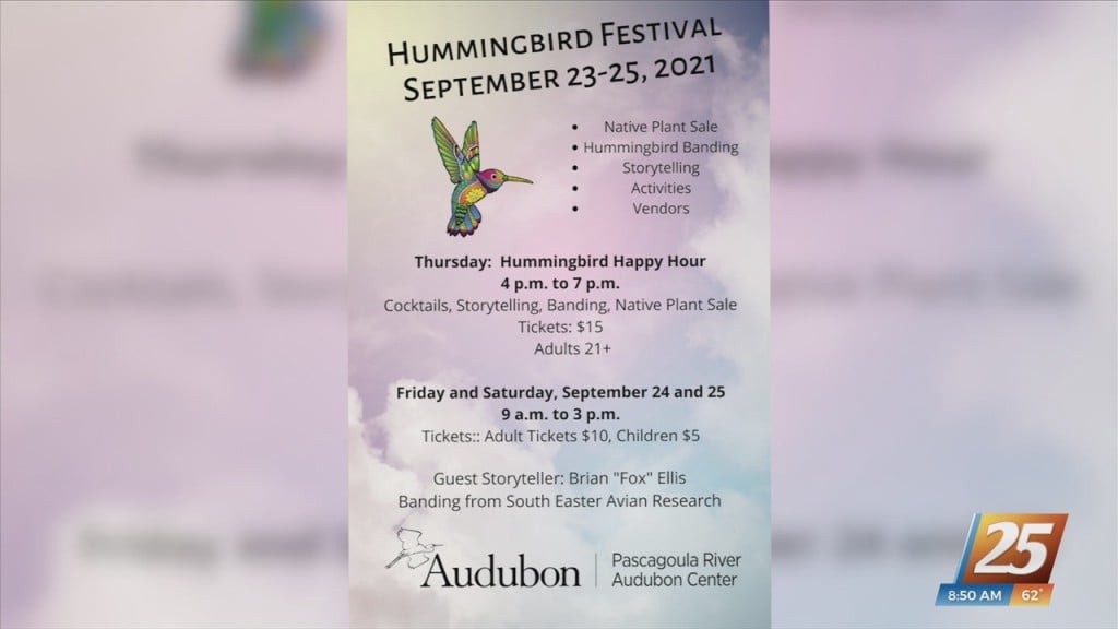 Hummingbird Festival Thursday Through Saturday
