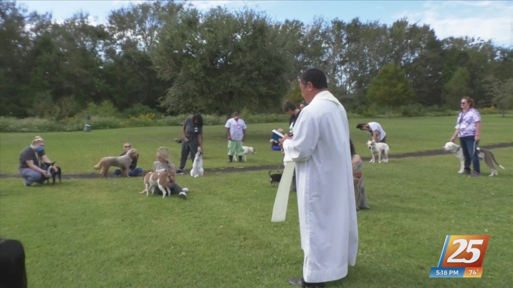 Humane Society Of South Mississippi Holds Blessing Of The Pets Ceremony