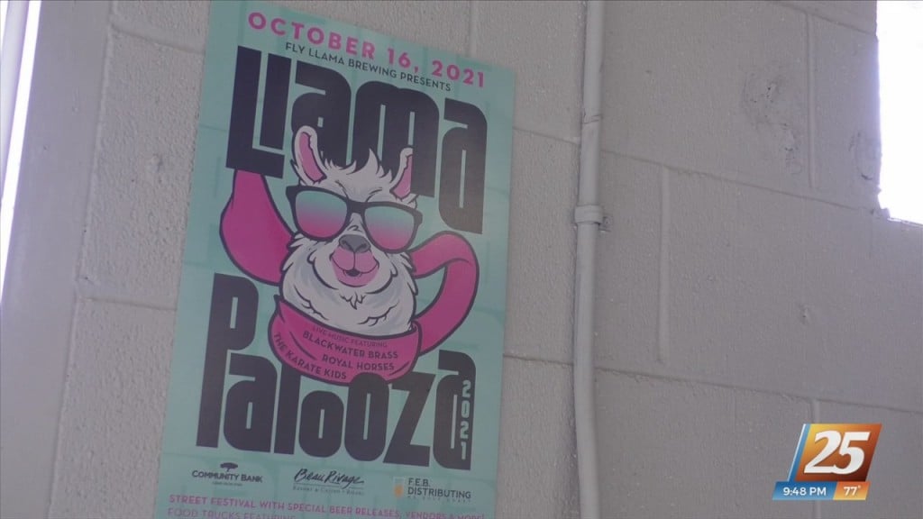 Llamapalooza Set For October 16th