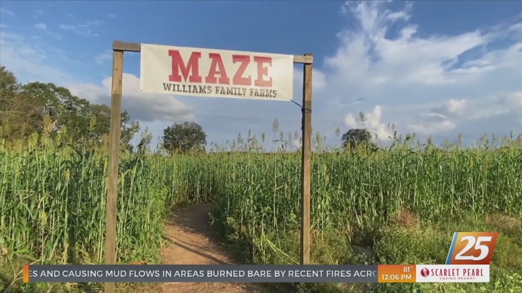 Williams Family Farm In Wiggins Offering Fall Festivities