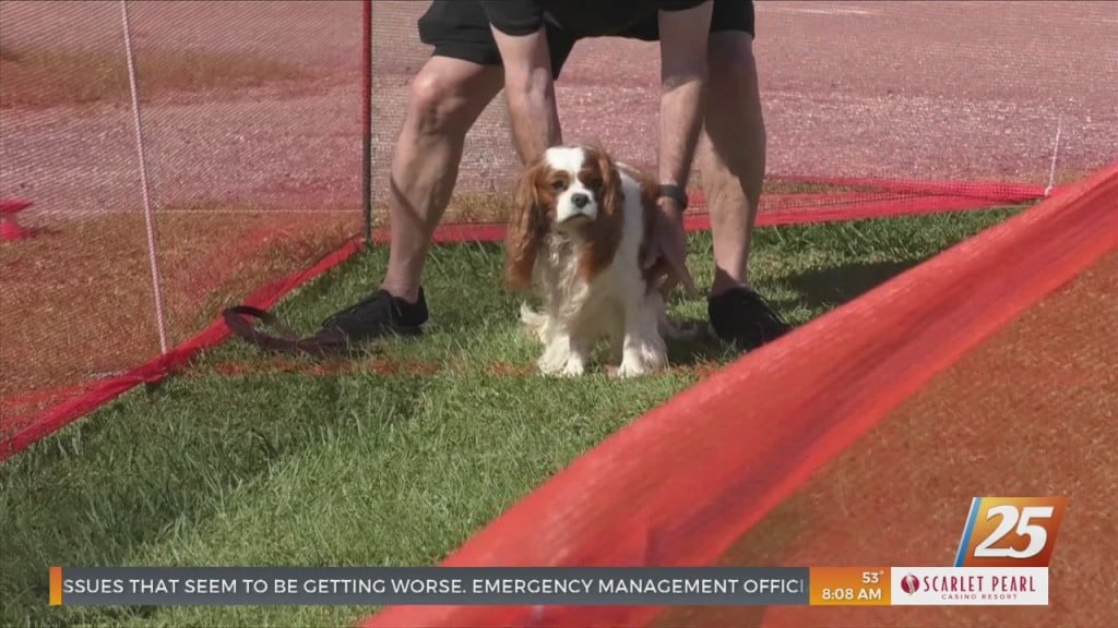 Bark’n Good Times At The Harrison County Fairgrounds