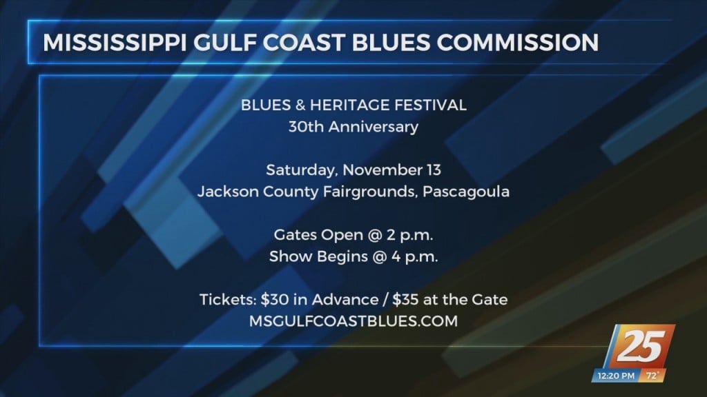 30th Annual Blues And Heritage Festival