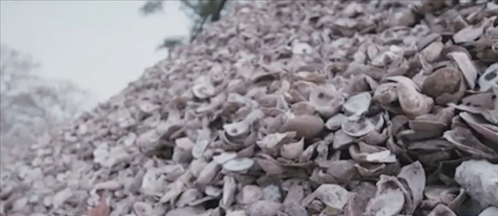 The Nature Conservancy Launches Oyster Shell Recycling Program