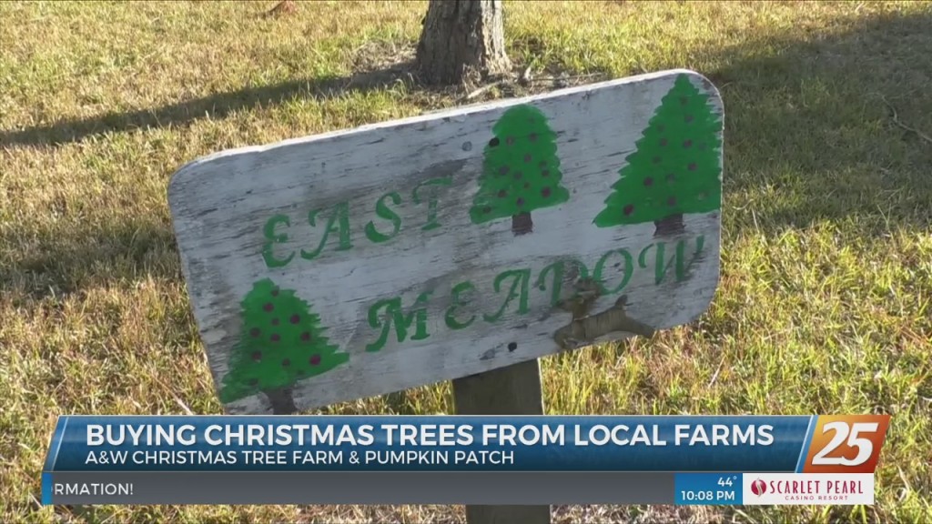 Buying Local Christmas Trees