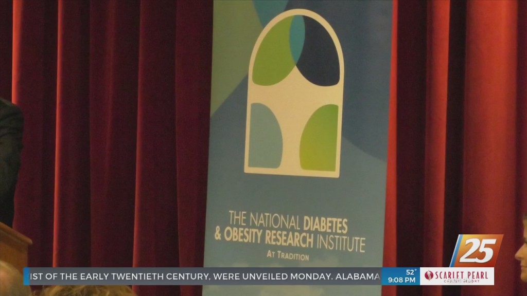 National Diabetes And Obesity Research Institute Holds Endowment Gala