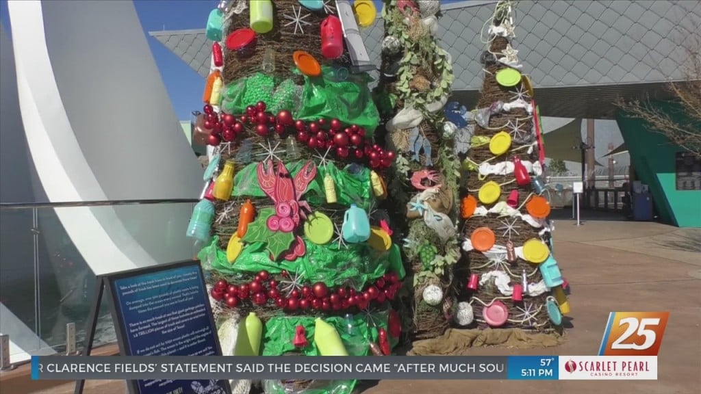 Mississippi Aquarium Raising Awareness For Ocean Conservation Through Christmas Decorations